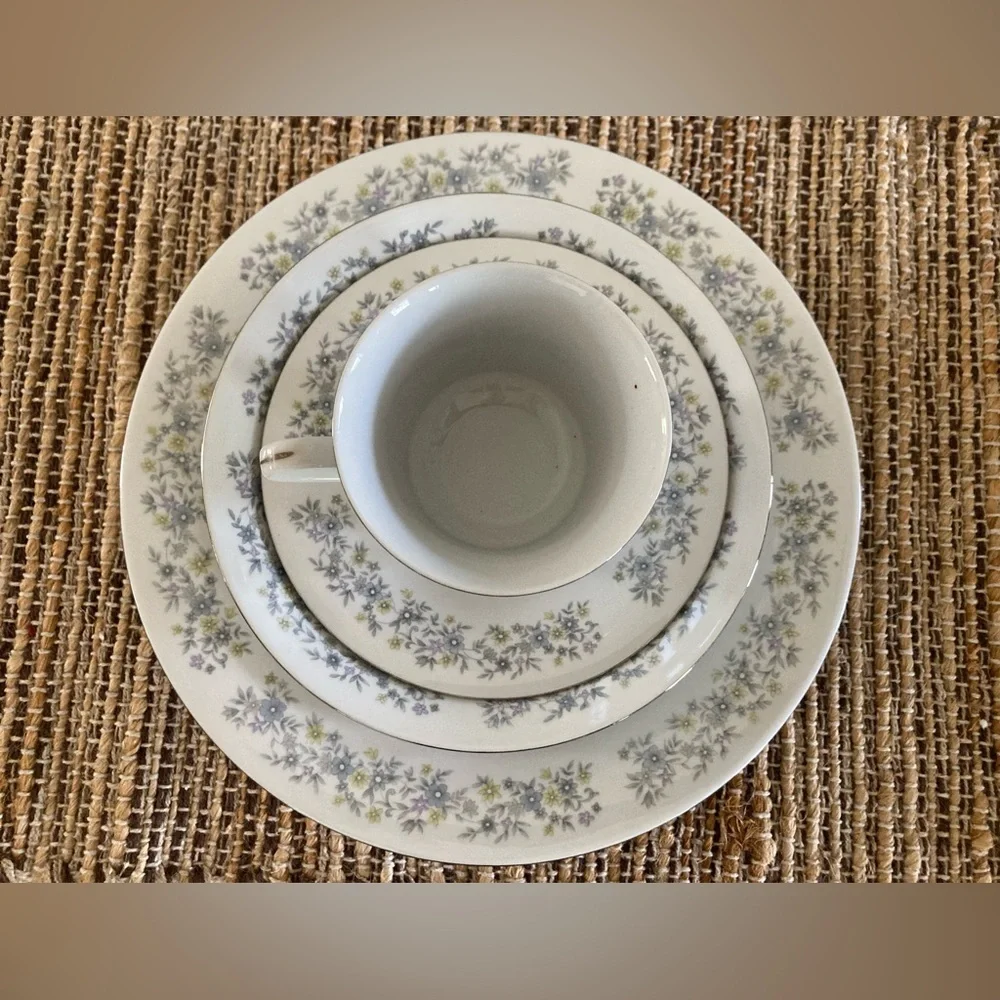 Dynasty 1005 Fine China 5 Piece set